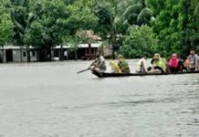 বন্যা উত্তর কৃষি পুনর্বাসন এবং বন্যার ভালোমন্দ দিক