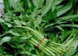 ভিটামিন “এ” ঘাটতি পূরণে চাষ করুণ গিমা কলমী