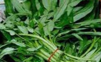 ভিটামিন “এ” ঘাটতি পূরণে চাষ করুণ গিমা কলমী