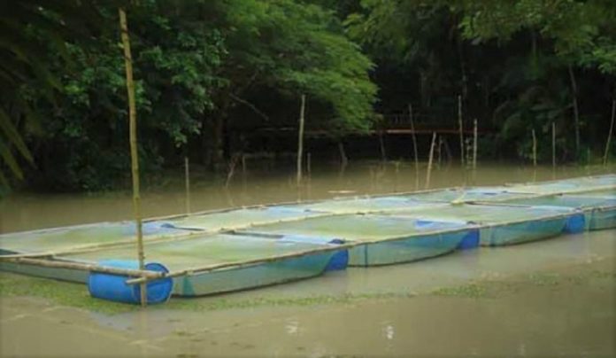 খাঁচায় মাছ চাষের পদ্ধতি ও সুবিধা