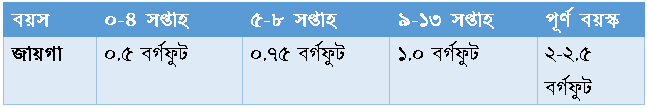 তিতির ব্যবস্থাপনা 