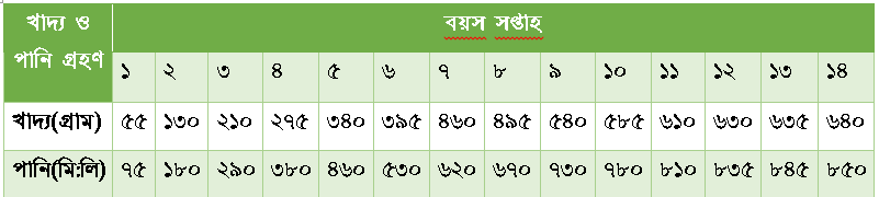 খাদ্য ও পানি গ্রহণ