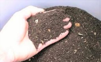 কেচোঁ কম্পোষ্ট তৈরীর সহজ উপায়