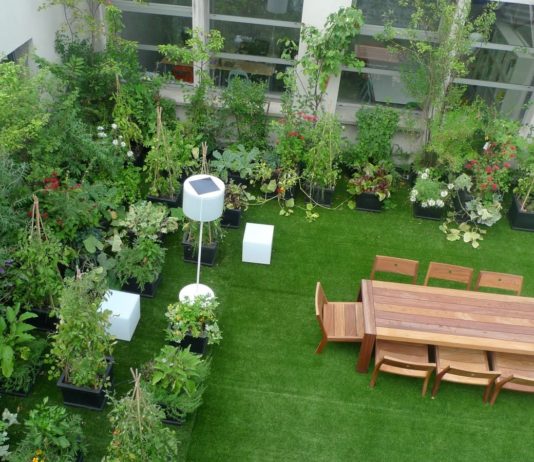 পরিবারের চাহিদা পুরণ করে বাড়তি আয়