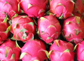 বাড়ির ছাদে ও বারান্দায় চাষ করতে পারেন ড্রাগন ফল