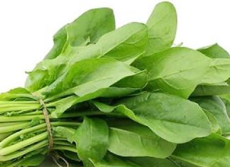 রোগ নিরাময়ে পালং শাকের উপকারিতা