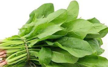 রোগ নিরাময়ে পালং শাকের উপকারিতা