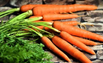 সফলভাবে কিভাবে গুনী সবজি গাজর চাষ করবেন: গাজর চাষ পদ্ধতি