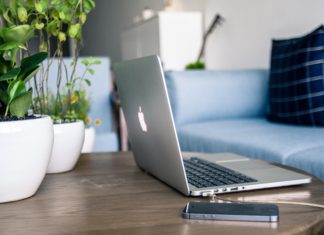 ঘরের ভেতর গাছ! আপনার ঘর হোক সবুজময়, মন থাকুক সতেজ! ঘরের ভেতর গাছ