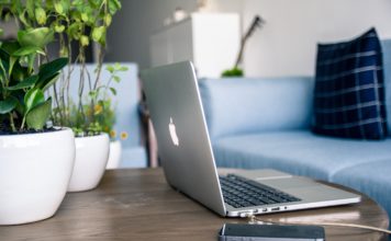 ঘরের ভেতর গাছ! আপনার ঘর হোক সবুজময়, মন থাকুক সতেজ! ঘরের ভেতর গাছ