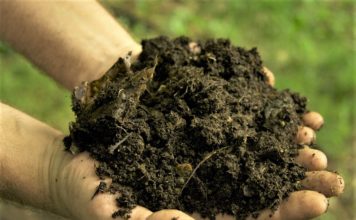 জৈব সার তৈরির পদ্ধতি জৈব সার তৈরির পদ্ধতি