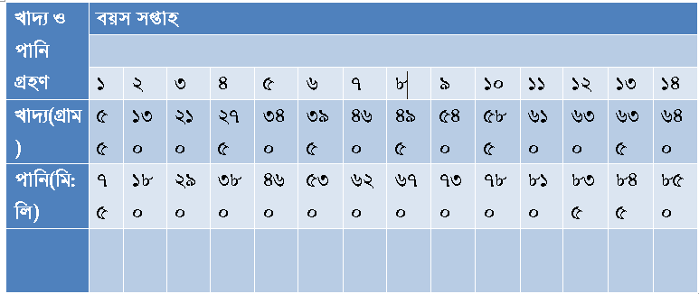 তিতির ব্যবস্থাপনা০২