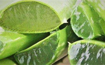 অ্যালোভেরা বা ঘৃতকুমারীর চাষ পদ্ধতি!!