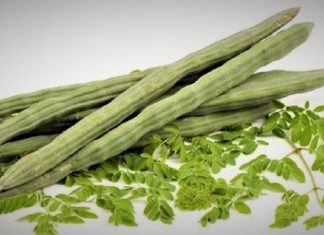 সজিনা চাষ পদ্ধতি ও গুনাগুন